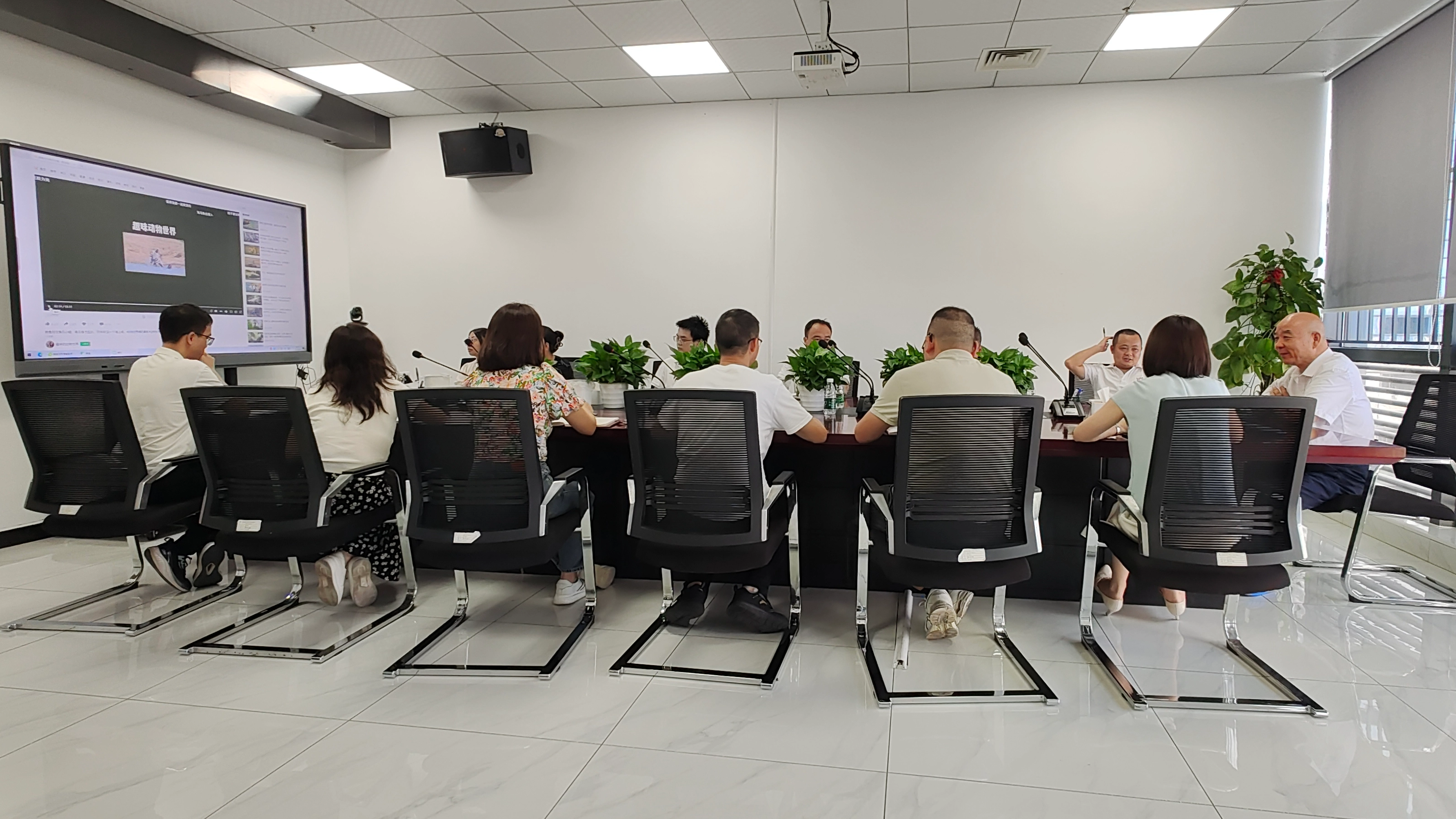 Topway New Energy举办了锂电池的战略会议，用于储能电池