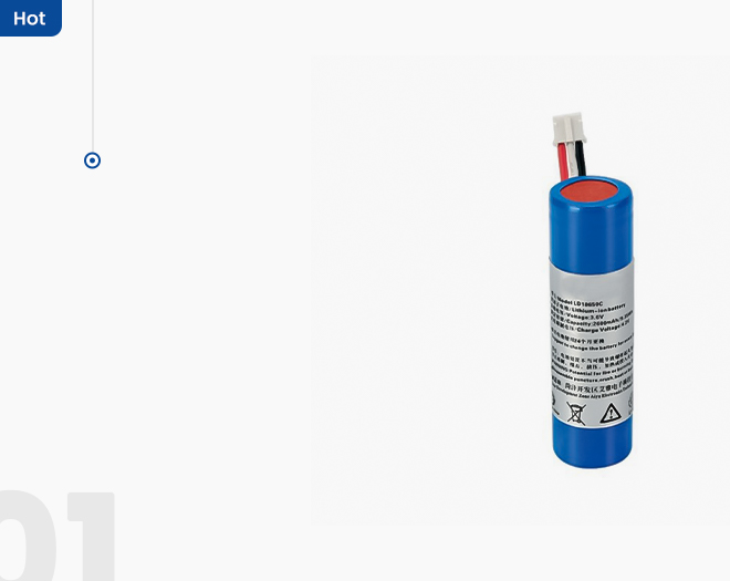 POS & Electronic Toys Lithium Battery Ordering